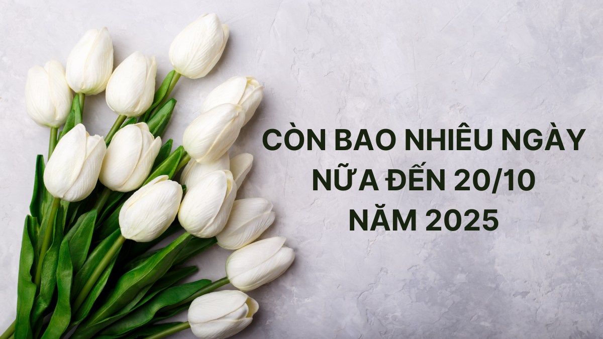 Còn bao nhiêu ngày nữa đến 20/10 năm 2025 kể từ hôm nay